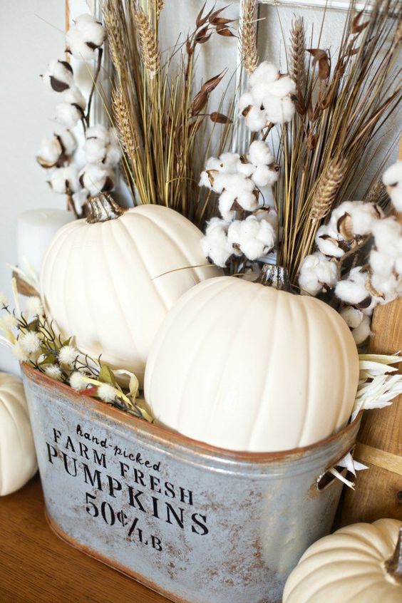 Pumpkin Decor